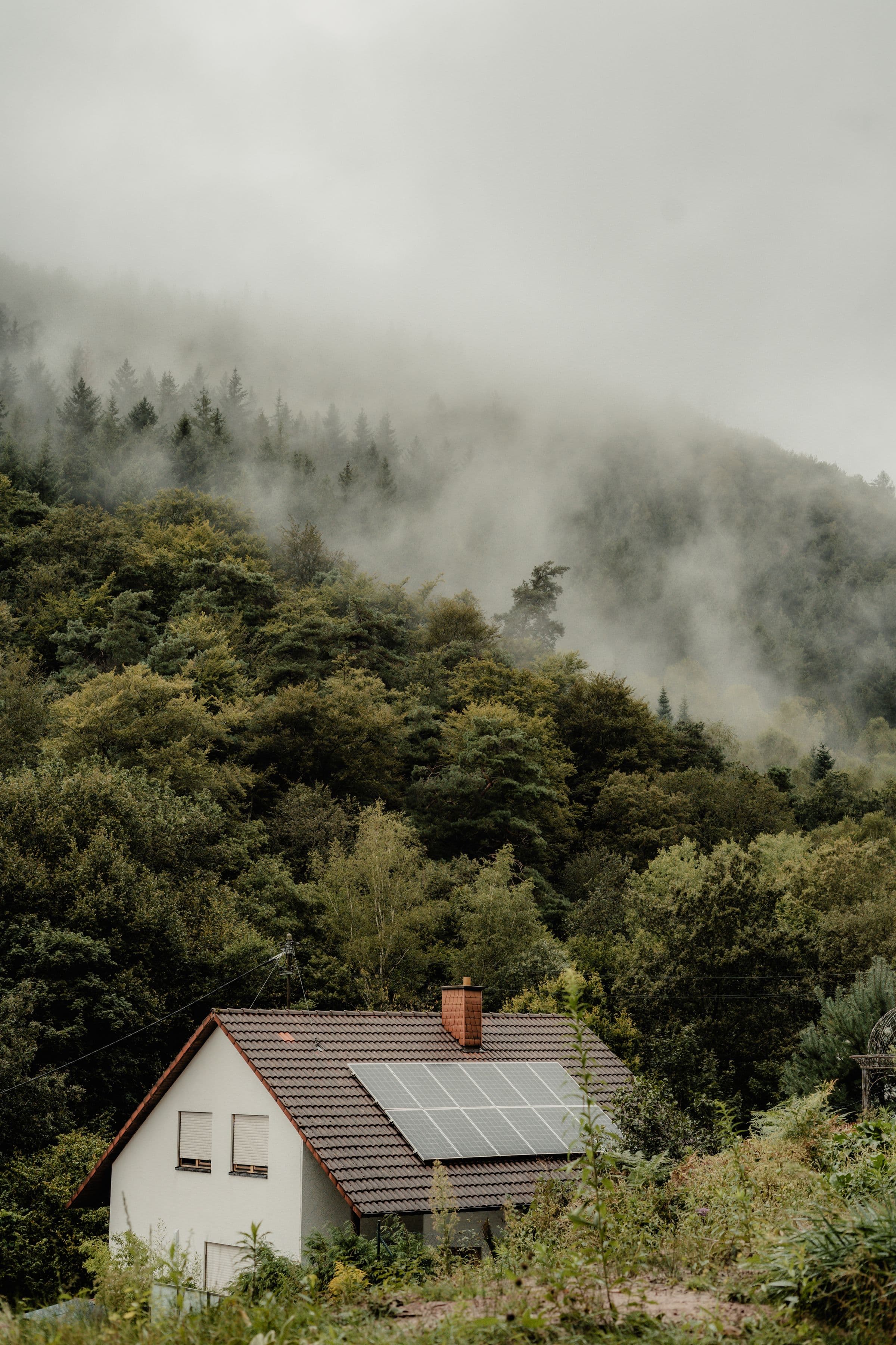 Maison individuelle au toit couvert de panneaux solaires, entourée d’arbres et d’un terrain en pente boisée.